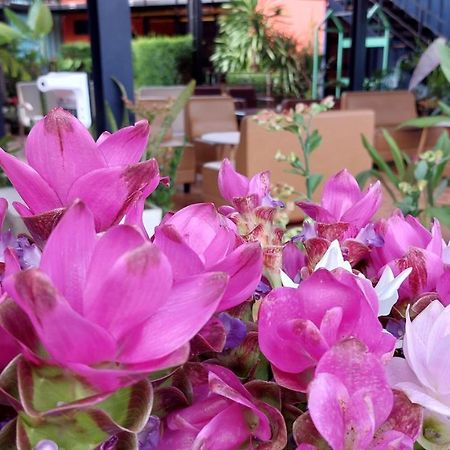 Kipbox Hotel Trang Dış mekan fotoğraf