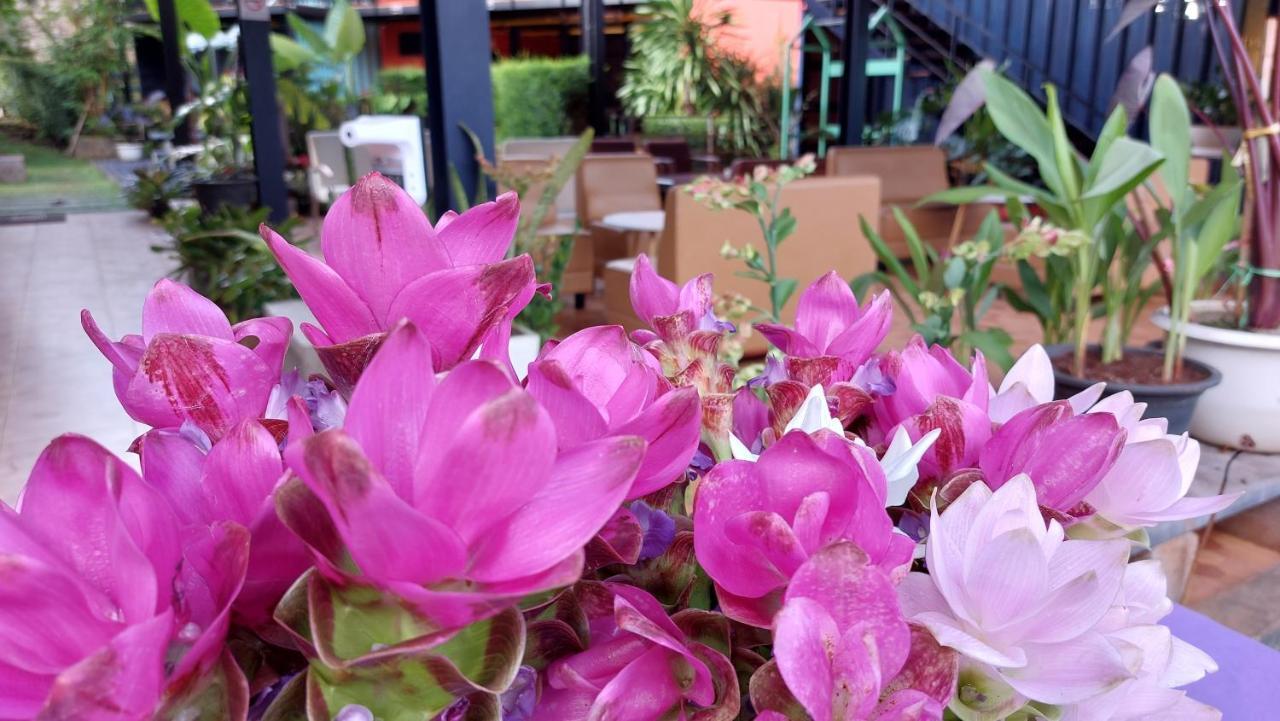 Kipbox Hotel Trang Dış mekan fotoğraf