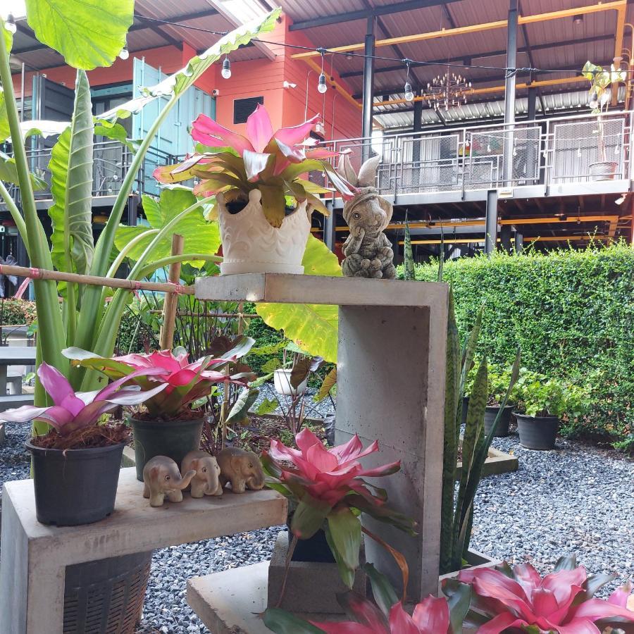 Kipbox Hotel Trang Dış mekan fotoğraf