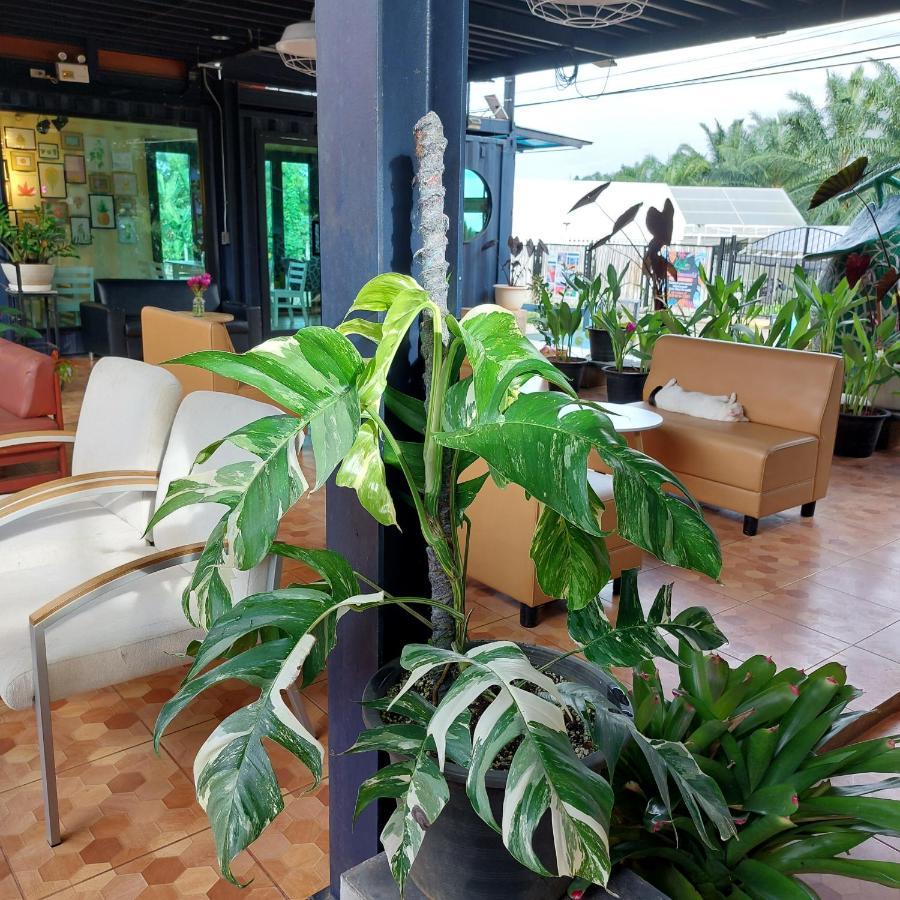 Kipbox Hotel Trang Dış mekan fotoğraf